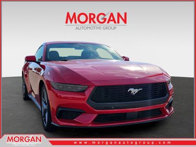 2026 Ford Mustang - Photo 1