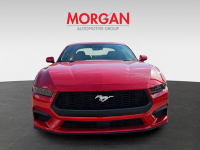 2026 Ford Mustang - Photo 3