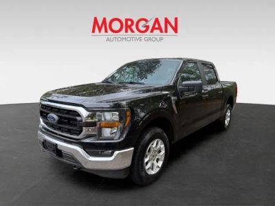 2023 Ford F-150 — rear three-quarter view