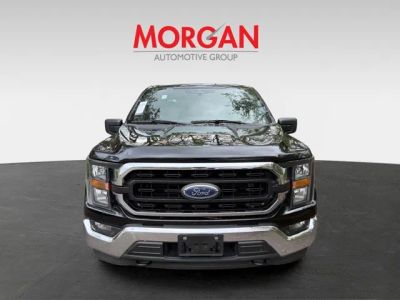 2023 Ford F-150 — side profile view