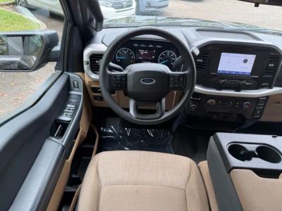 2023 Ford F-150 — photo 14 view