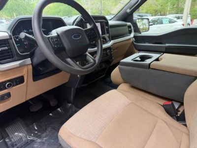 2023 Ford F-150 — photo 19 view