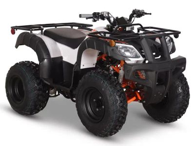2026 Kayo Bull 150 EFI - Photo 3