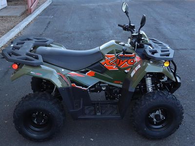 2025 Kayo Bull 300 EFI - Photo 8