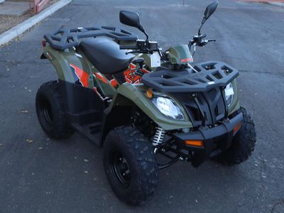 2025 Kayo Bull 300 EFI - Photo 9