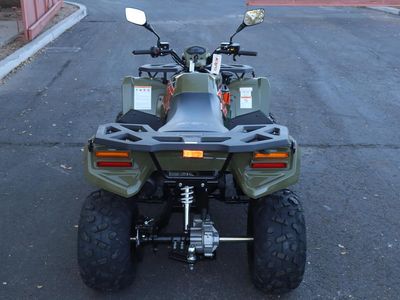 2025 Kayo Bull 300 EFI - Photo 6