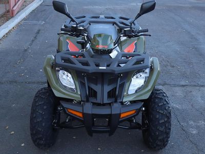 2025 Kayo Bull 300 EFI - Photo 2