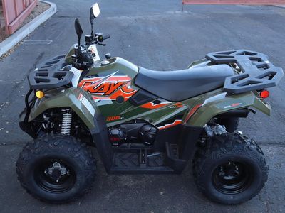 2025 Kayo Bull 300 EFI - Photo 4