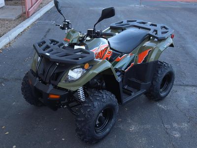 2025 Kayo Bull 300 EFI - Photo 1