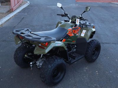 2025 Kayo Bull 300 EFI - Photo 7