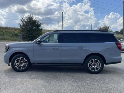 2025 Ford Expedition - Photo 6