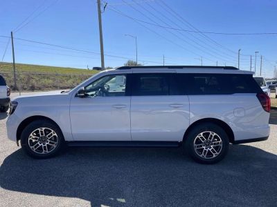 2026 Ford Expedition - Photo 6