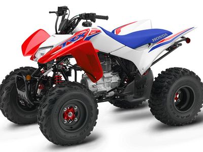 2026 Honda TRX250X - Photo 1