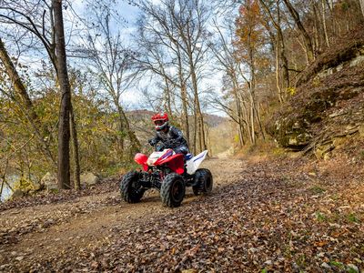 2026 Honda TRX250X - Photo 14