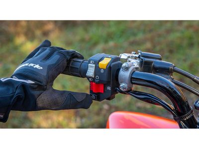 2026 Honda TRX250X - Photo 8