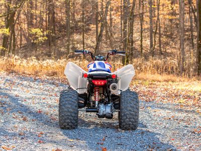 2026 Honda TRX250X - Photo 11