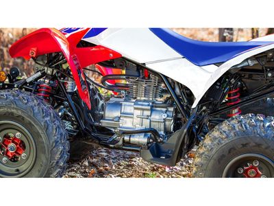 2026 Honda TRX250X - Photo 3