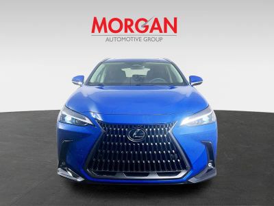 2025 Lexus NX — side profile view