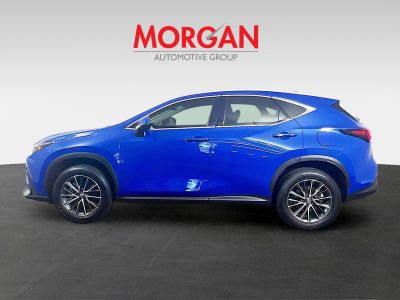 2025 Lexus NX — interior view
