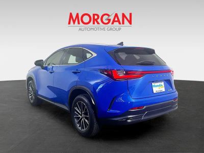 2025 Lexus NX — detail view