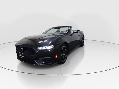 2024 Ford Mustang - Photo 3