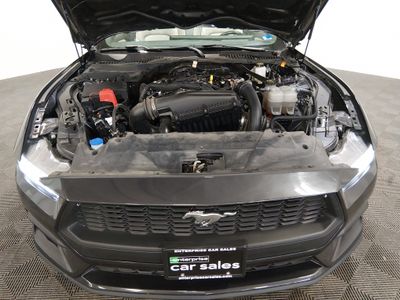 2024 Ford Mustang - Photo 9