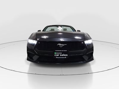 2024 Ford Mustang - Photo 2