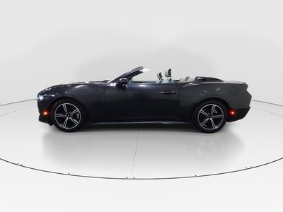 2024 Ford Mustang - Photo 4