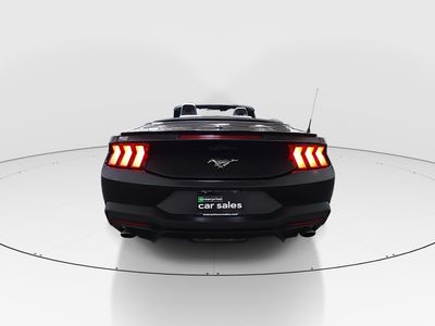 2024 Ford Mustang - Photo 6