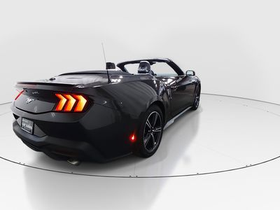 2024 Ford Mustang - Photo 7