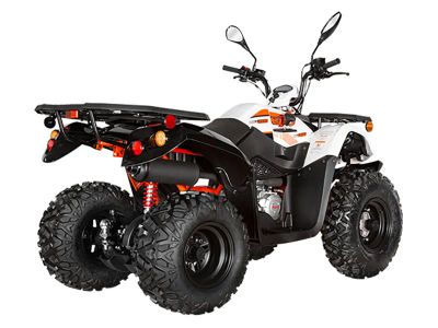 2025 Kayo Bull 200 - Photo 6