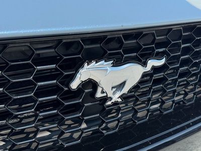 2024 Ford Mustang GT - Photo 8