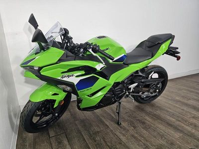 2026 Kawasaki Ninja 500 - Photo 1