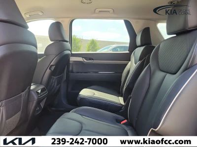 2025 Hyundai Palisade — photo 13 view