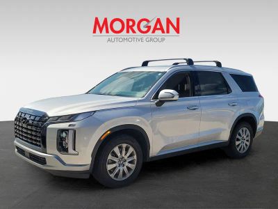 2025 Hyundai Palisade — detail view