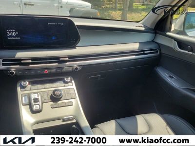 2025 Hyundai Palisade — photo 20 view