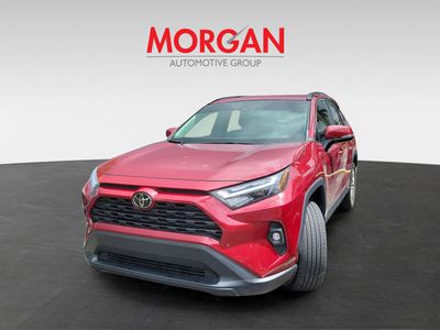 2024 Toyota RAV4 - Photo 2