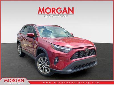 2024 Toyota RAV4 - Photo 1