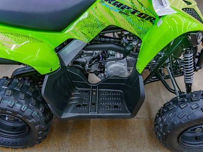 2026 Yamaha Raptor 110 - Photo 3