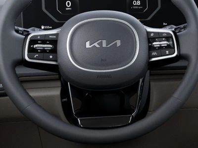 2026 Kia Carnival Hybrid — photo 22 view