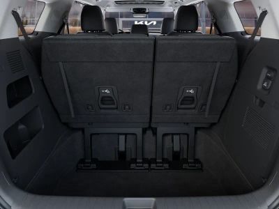 2026 Kia Carnival Hybrid — photo 19 view