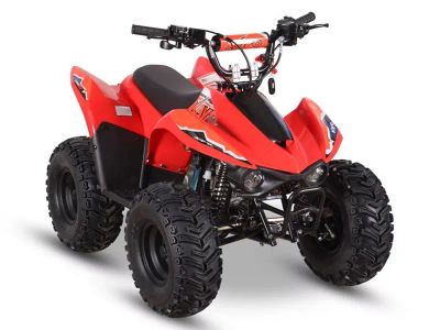 2026 Kayo Storm 70 - Photo 3