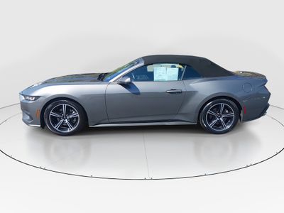 2025 Ford Mustang — interior view