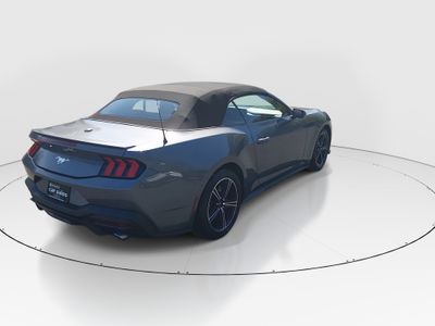 2025 Ford Mustang — photo 7 view