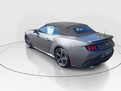 2025 Ford Mustang — detail view