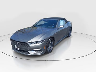 2025 Ford Mustang — rear three-quarter view
