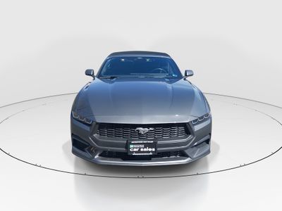 2025 Ford Mustang — side profile view