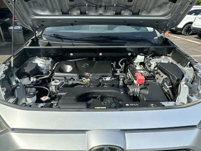 2019 Toyota RAV4 — photo 23 view