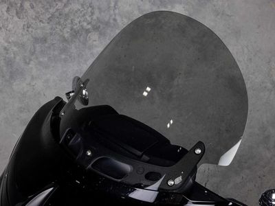 2017 Indian Motorcycle Roadmaster Thunder Black - Photo 9