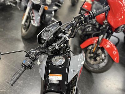2025 Honda XR150L - Photo 8